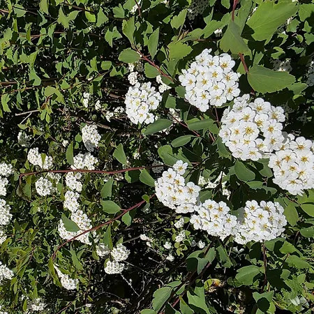 Apartmán Frei Fuer Zwei *