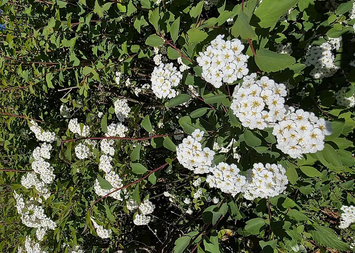 Apartamento Frei Für Zwei *